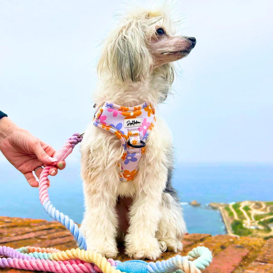 Arnés Ajustable - Flower Pooch