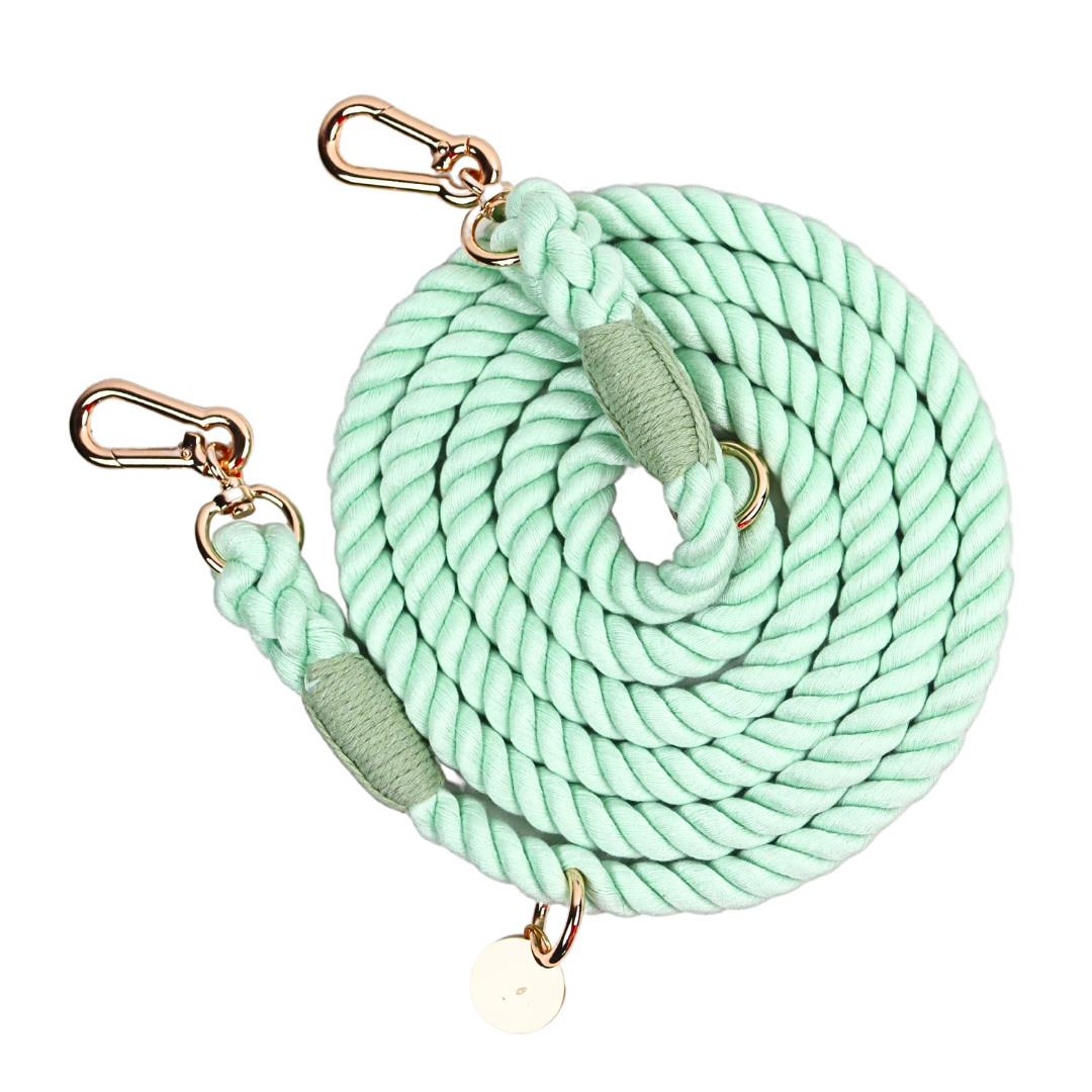 Dual Rope Leash - Mint
