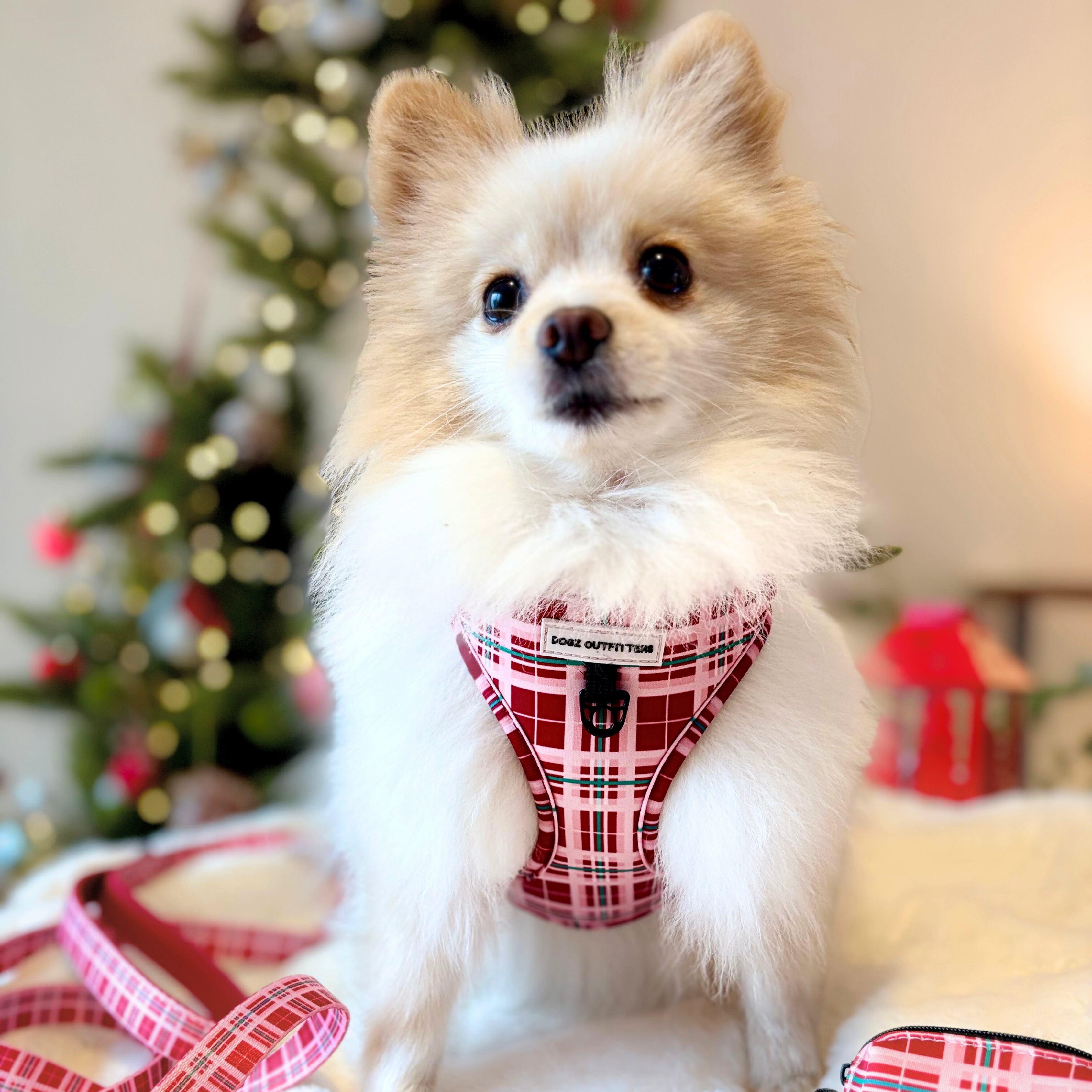 Adjustable Harness - Plaid Winter Classic